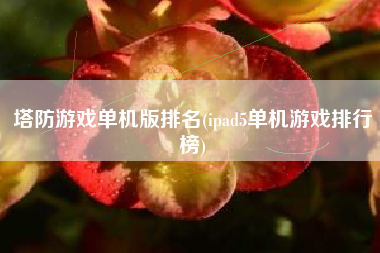 塔防游戏单机版排名(ipad5单机游戏排行榜)