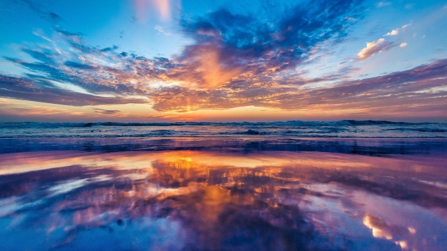 这个周末，漯河会展中心见！